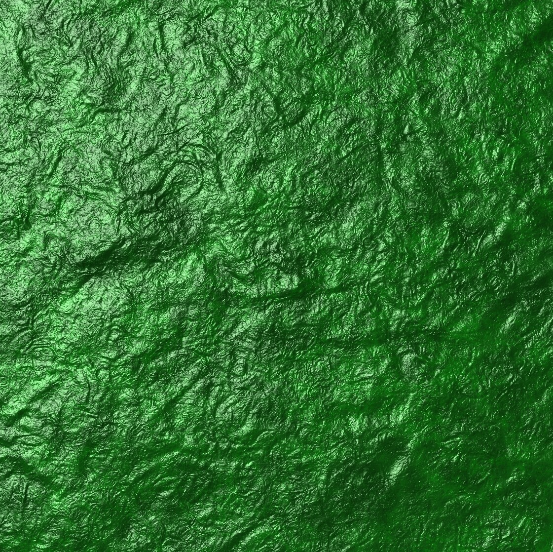 data/trunk/maps/green_alien_skin.jpg