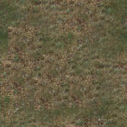 code/trunk/Tutorial/Media/materials/textures/terr_dirt-grass.jpg