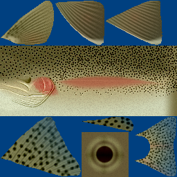 code/trunk/Media/materials/textures/steelhead.png